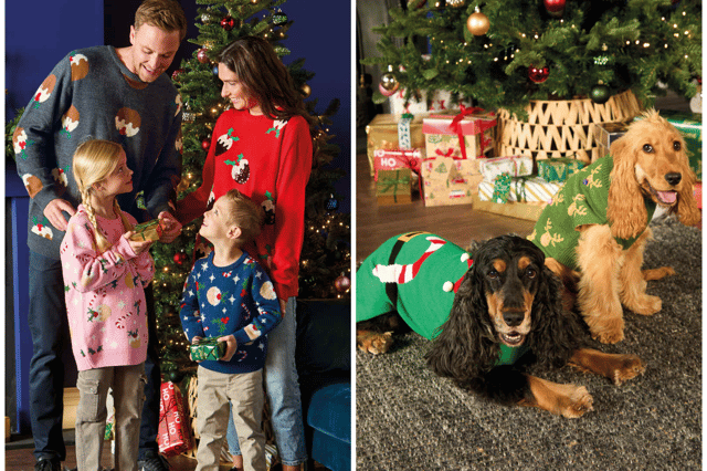 Christmas jumpers for humans and canines