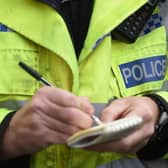 A 10-year-old girl has died after she was bitten by her family's dog, police have said.