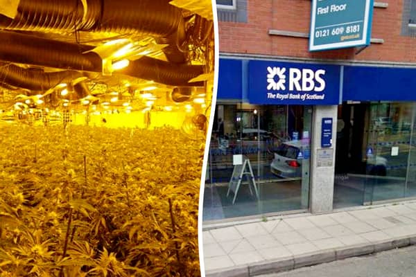 Police discover £500k cannabis factory in old high street bank.