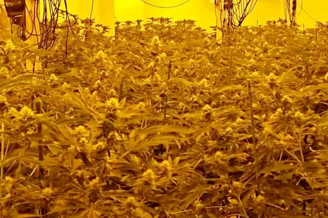 Police raid the cannabis factory at the former Royal Bank of Scotland in Kidderminster.