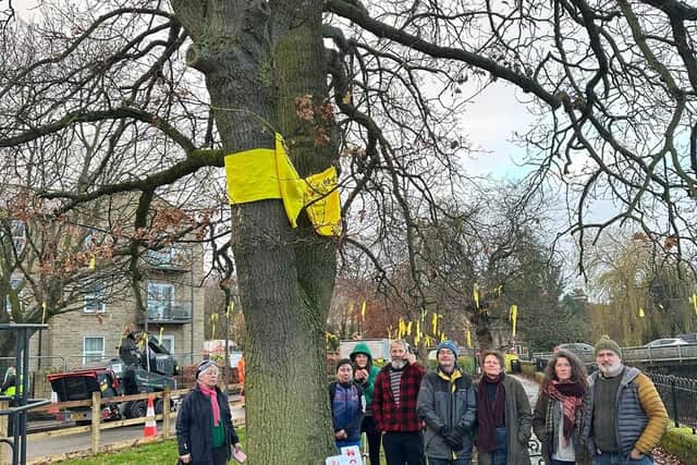 Campaigners by the old oak tree in Otley