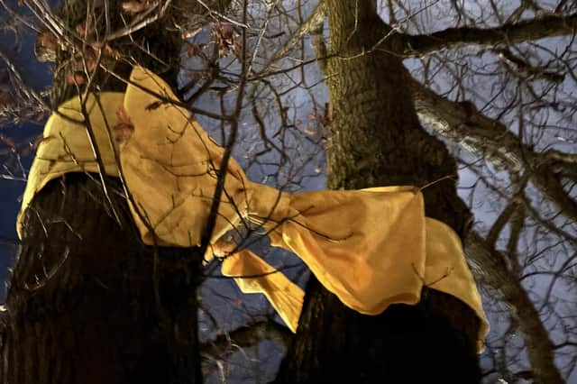 A yellow ribbon has been tied around the oak tree in Otley