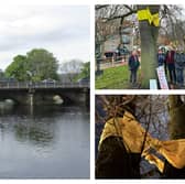 The trees were due to be removed to allow Leeds City Council to install a temporary crossing while it carried out repairs to Otley Bridge.