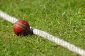 Plans to bring a cricket net facility to the John Charles Centre for Sport have received the green light.