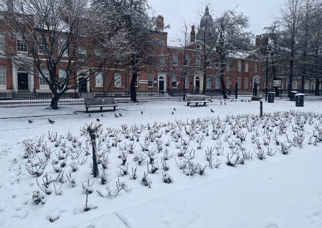 Empty benches in Park Square, as the garden was completely covered with snow.