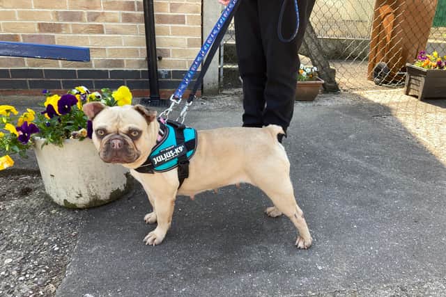 A Leeds woman has been banned from keeping pets for seven years after neglecting Cookie, a French bulldog.