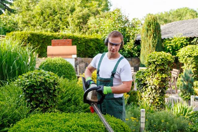 Have your dream garden ready in time for the spring and summer