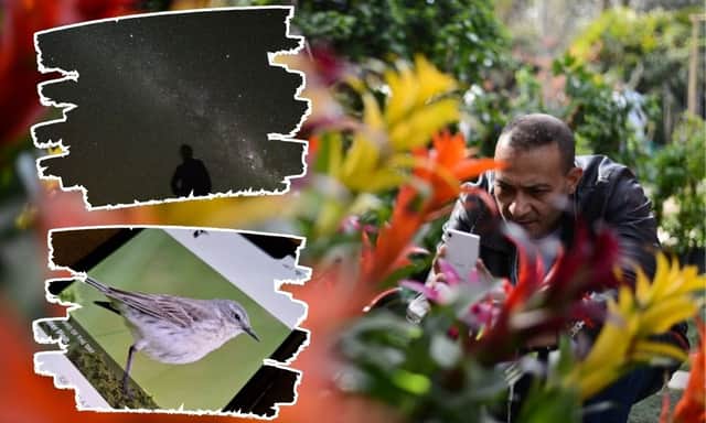 There are apps for IDing plants, birdsong, and even star constellations