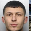 Gentian (pictured left) arrived in the UK illegally and was caught transporting drugs along the A1(M) in West Yorkshire.