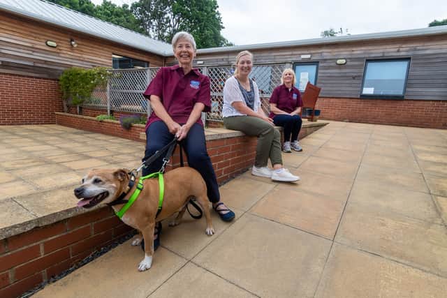 The RSPCA branch for Leeds and Wakefield has issued a desperate appeal for support as it struggles with a 'severe financial crisis'