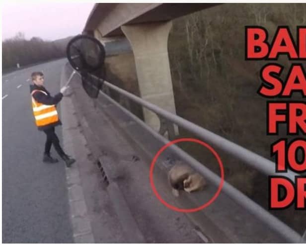 A person preparing to rescue a badger from a 100 metre drop