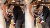 The Golden Retriever arrives at the bride and groom with the ring.