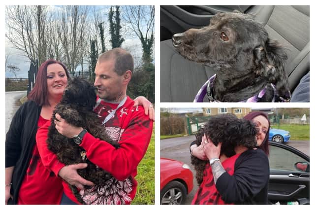 Wioleta Owczarek, 37, says her two dogs disappeared in 2018 after the person she had paid to look after the pets vanished.