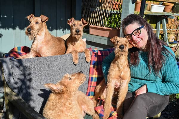 Karen Hobson from Wiltshire, has been showing her Irish terriers for 10 years at Crufts and this year she will be attending with 3 generations of her 4 generations of Irish terriers. BC (L-R) Ailis and Dana and FR (L-R) Roisin and Cillian.March 3 2025.