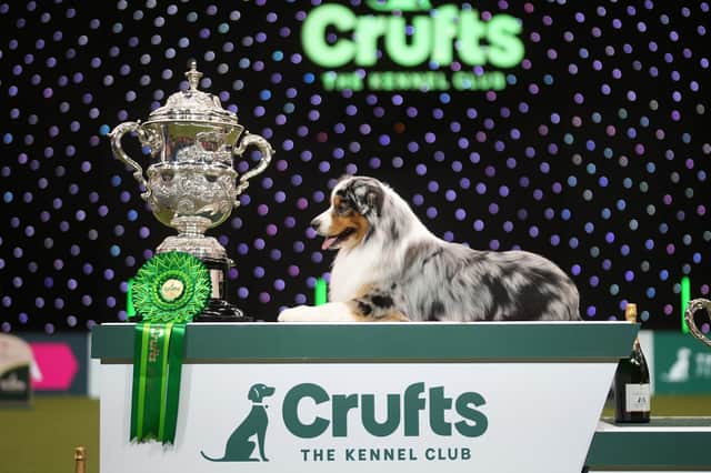 Crufts Best in Show will be on Channel 4