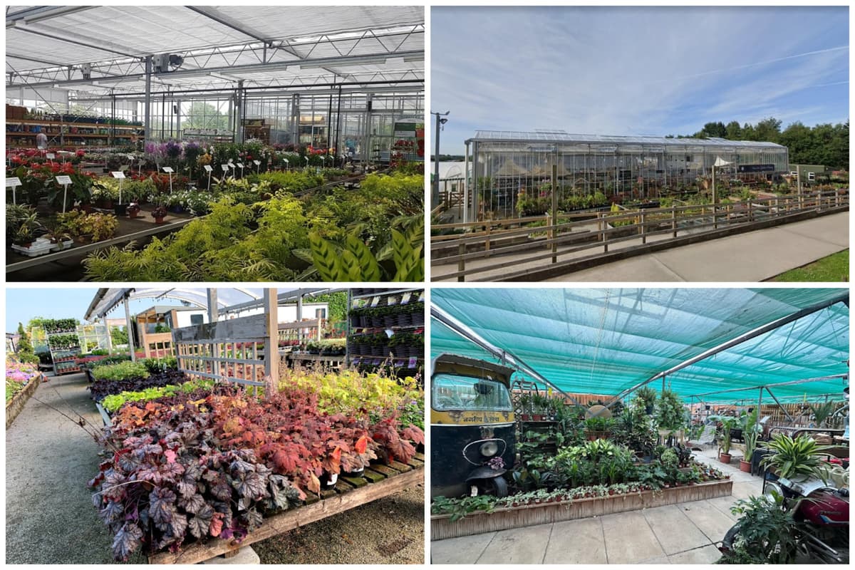 The 8 best garden centres in Leeds according to Google reviews and what