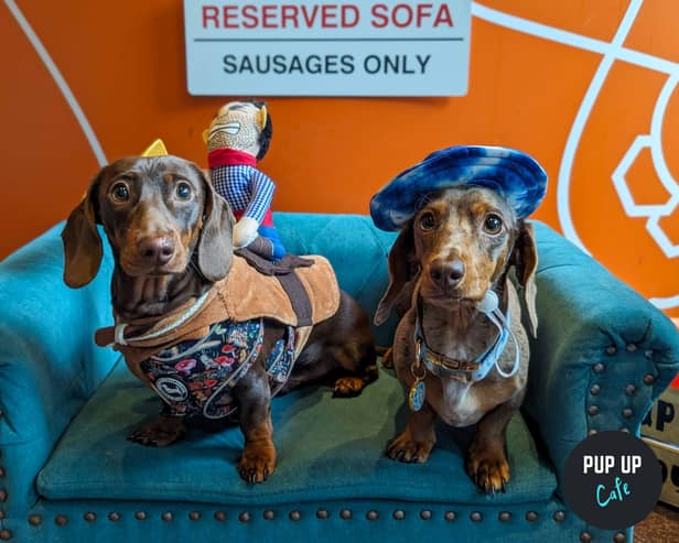 The ‘pup-up’ cafe will be taking over the Revolution Electric Press bar in Leeds city centre.