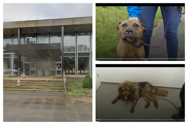 Maea MacDonald, 25, of Ley Lane, Leeds, was banned from keeping all animals indefinitely.