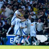 ELATION: In the Elland Road stands as Manor Solomon fires Leeds United ahead against Preston North End.
