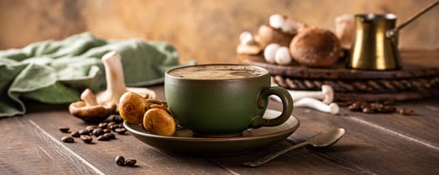 The humble mushroom could be the superfood you’ve never known you needed