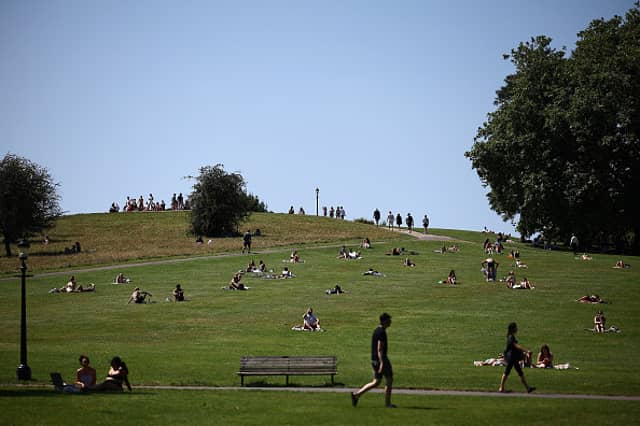 People lay in the sun.