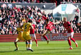 Bristol City centre-back McNally is out for the rest of the season with an ACL injury.