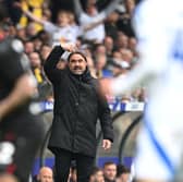 NOT SURPRISED: Leeds United boss Daniel Farke.