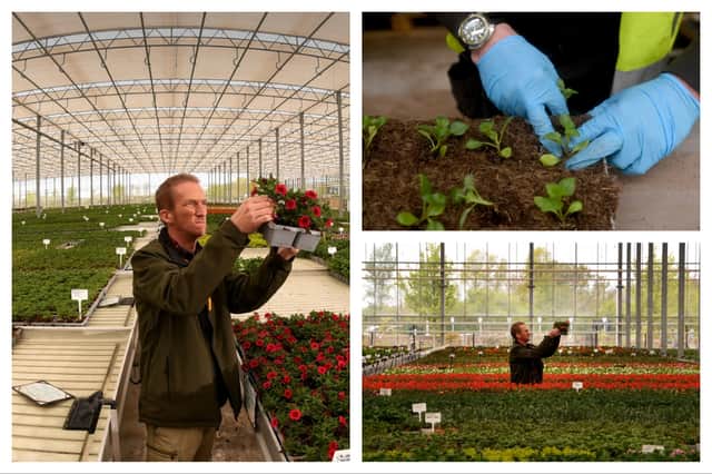 The Arium garden centre and plant nursery is the largest council-run nursery in the country.