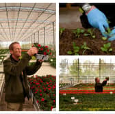 The Arium garden centre and plant nursery is the largest council-run nursery in the country.