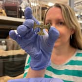 The Saxon pendant, thought to be over 1,200 years old, was discovered in a Leeds field last year.
