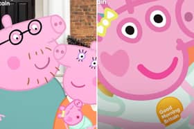 Mummy Pig gives birth to new piglet - Evie Pig