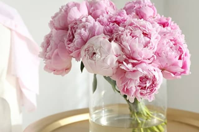 Treat yourself to a beautiful bouquet of Peonies from Appleyard - 30% off with this exclusive code
