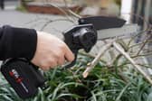 The Timber Titan 6-Inch Mini Chainsaw: for real men only.