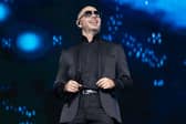 Pitbull 