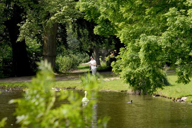 One walker took a moment to feed the ducks at Temple Newsam.