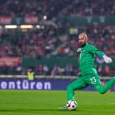 TERMS: Reportedly agreed between a Serie A side and Leeds United-linked goalkeeper Vanja Milinkovic-Savic, above.