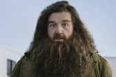 HBO has unveiled the first look at Nick Frost as Rubeus Hagrid in its highly anticipated Harry Potter television series.