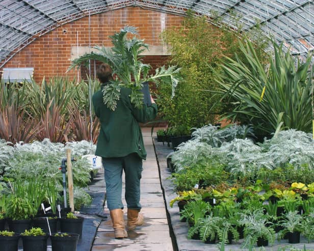 The former Red Hall Nursery in Leeds.