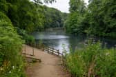 Campaigners are urging authorities to take “urgent action” to reduce pollution in Gledhow Lake and Beck.