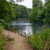 Campaigners are urging authorities to take “urgent action” to reduce pollution in Gledhow Lake and Beck.