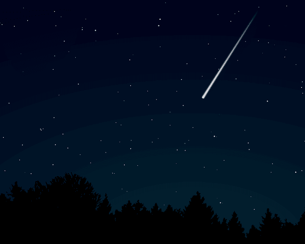 Which zodiac signs get the most – and least – attention from prospective dates?