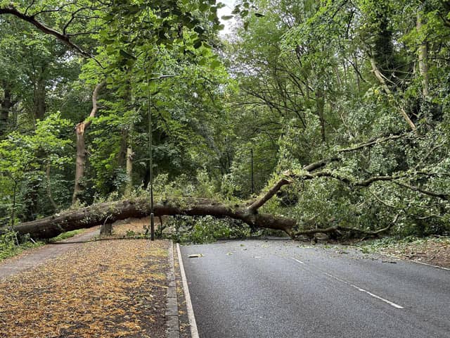 Gledhow Valley Road in Leeds. Credit Glen Minikin