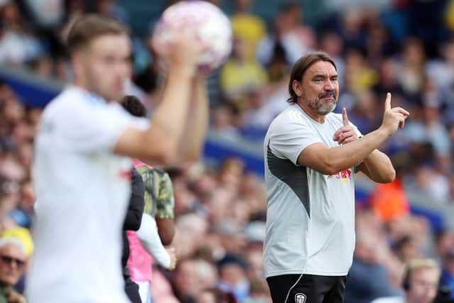 ALL ACTION: Leeds United boss Daniel Farke on the sidelines, even in a pre-season friendly.