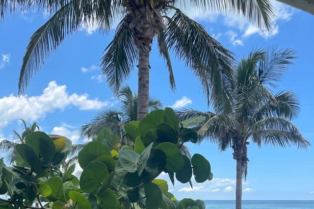 St Petersburg, Florida