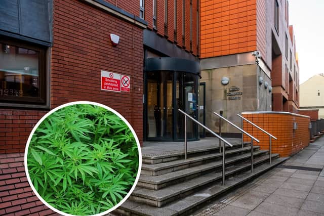 Leeds cancer patient grew cannabis plants in exchange for oil for 'self ...