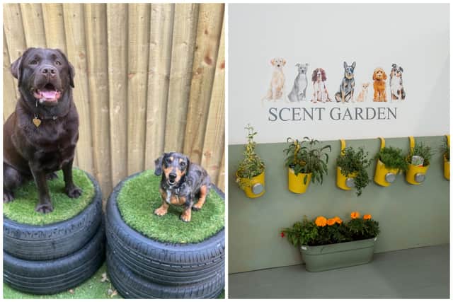 “I run it a bit like school. We have a structure to the day. We’re making sure that the dogs are getting mental enrichment as well as physical.