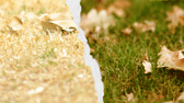 Where your lawn ends up this autumn depends on what you do this week