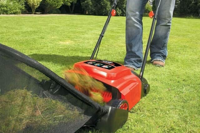 Removing thatch now gives your lawn room to breathe before it’s too late