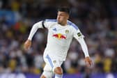 'NEED': For Leeds United striker Joel Piroe, above, to get off the mark against Newcastle United.