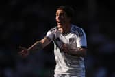 LATE MOVE: From Leeds United for Fulham's Harry Wilson, above.